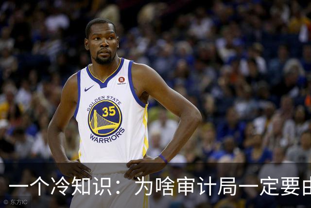 一个冷知识：为啥审计局一定要由政府一把手来分管？