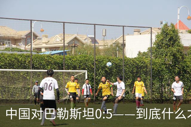 中国对巴勒斯坦0:5——到底什么才是中国足协的羞耻底线