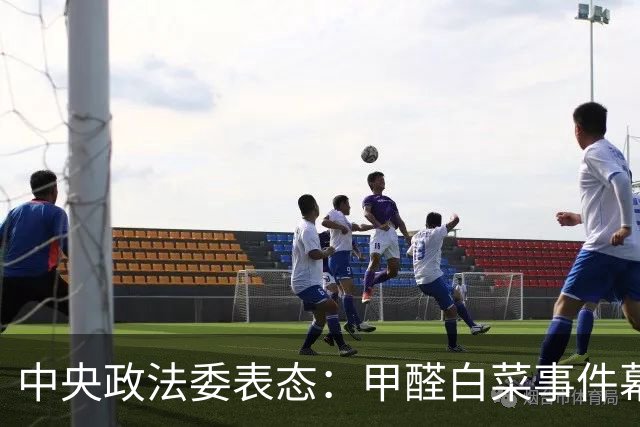 中央政法委表态：甲醛白菜事件幕后黑手被抓是开始，还有更严重的