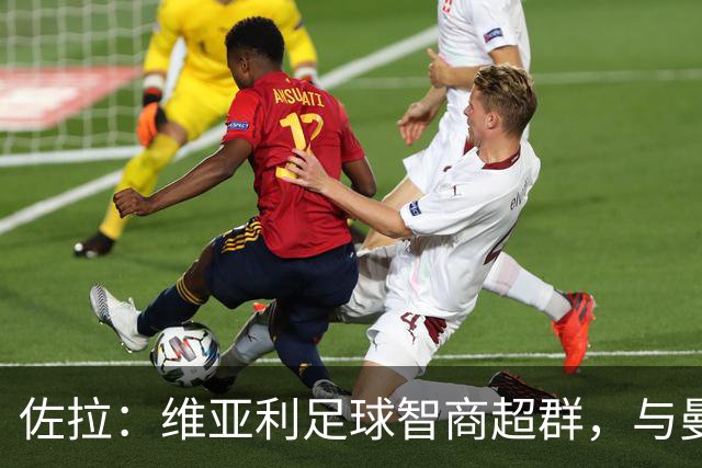 佐拉：维亚利足球智商超群，与曼奇尼默契