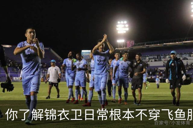 你了解锦衣卫日常根本不穿飞鱼服吗？又是影视骗了你多少年！