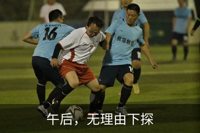 午后，无理由下探