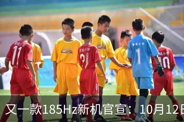 又一款185Hz新机官宣：10月12日，正式发布！