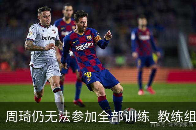 周琦仍无法参加全部训练 教练组酌情派他出战