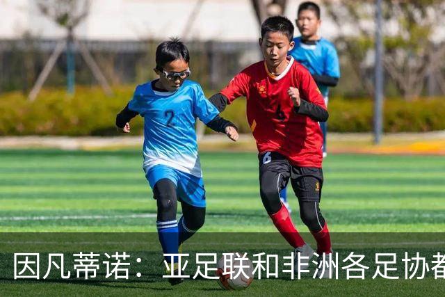因凡蒂诺：亚足联和非洲各足协都支持我；我尊重所有意见