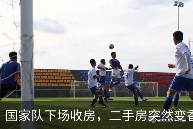 国家队下场收房，二手房突然变香了！
