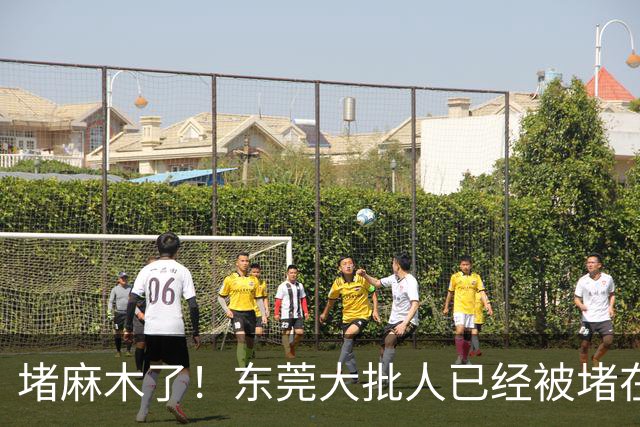 堵麻木了！东莞大批人已经被堵在路上......