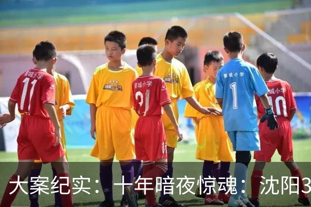 大案纪实：十年暗夜惊魂：沈阳3·8特大持枪连环杀人抢劫案