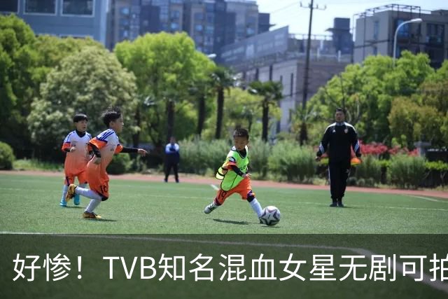 好惨！TVB知名混血女星无剧可拍，主动敲门自荐，靠积蓄维持生活