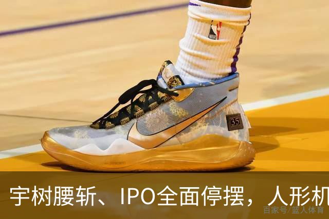 宇树腰斩、IPO全面停摆，人形机器人泡沫破了？