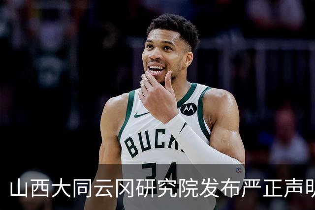 山西大同云冈研究院发布严正声明