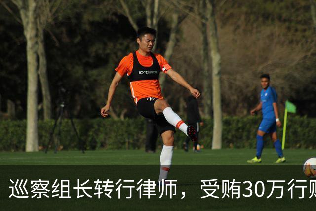 巡察组长转行律师，受贿30万行贿145万，被判4年半