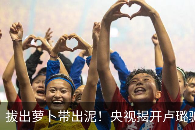 拔出萝卜带出泥！央视揭开卢璐骗局内幕，竟意外牵扯大半个娱乐圈