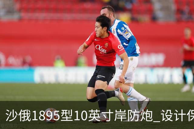 沙俄1895型10英寸岸防炮 设计保守性能不俗 成为多国装备战绩突出