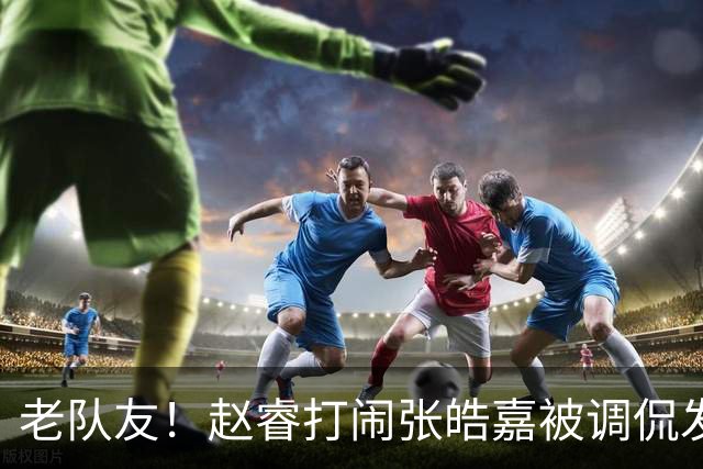老队友！赵睿打闹张皓嘉被调侃发型 布朗陈盈骏崔永熙焦泊乔合照