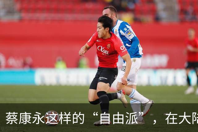 蔡康永这样的“自由派”，在大陆还有很多