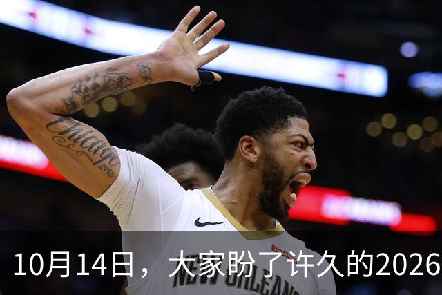 10月14日，大家盼了许久的2026年退休人员基本养老金不涨了吗？
