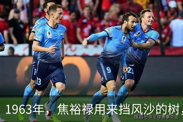 1963年，焦裕禄用来挡风沙的树，如今成了日本人的大宝贝，是啥树？