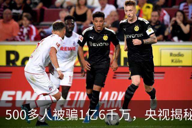 500多人被骗1亿6千万，央视揭秘马术骗局：组织10辆大巴带领老年投资人实地考察，谎称要建设马术基地，多个村庄即将拆迁