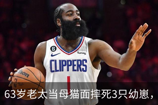 63岁老太当母猫面摔死3只幼崽，3天后遛弯忘关窗户，回家后崩溃了