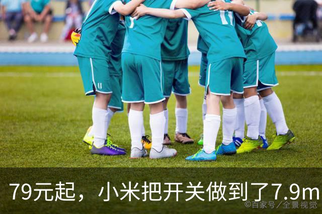 79元起，小米把开关做到了7.9mm薄